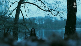 Nina Hoss nude, erotic scene from Das Herz Ist Ein Dunkler Wald (2007)