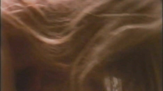 Heather Thomas nude, Sex scene from Red Blooded American Girl (1990)