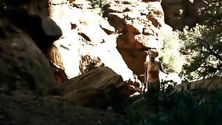 Célébrités nues » Yvonne Strahovski sexy - The Canyon (2009)