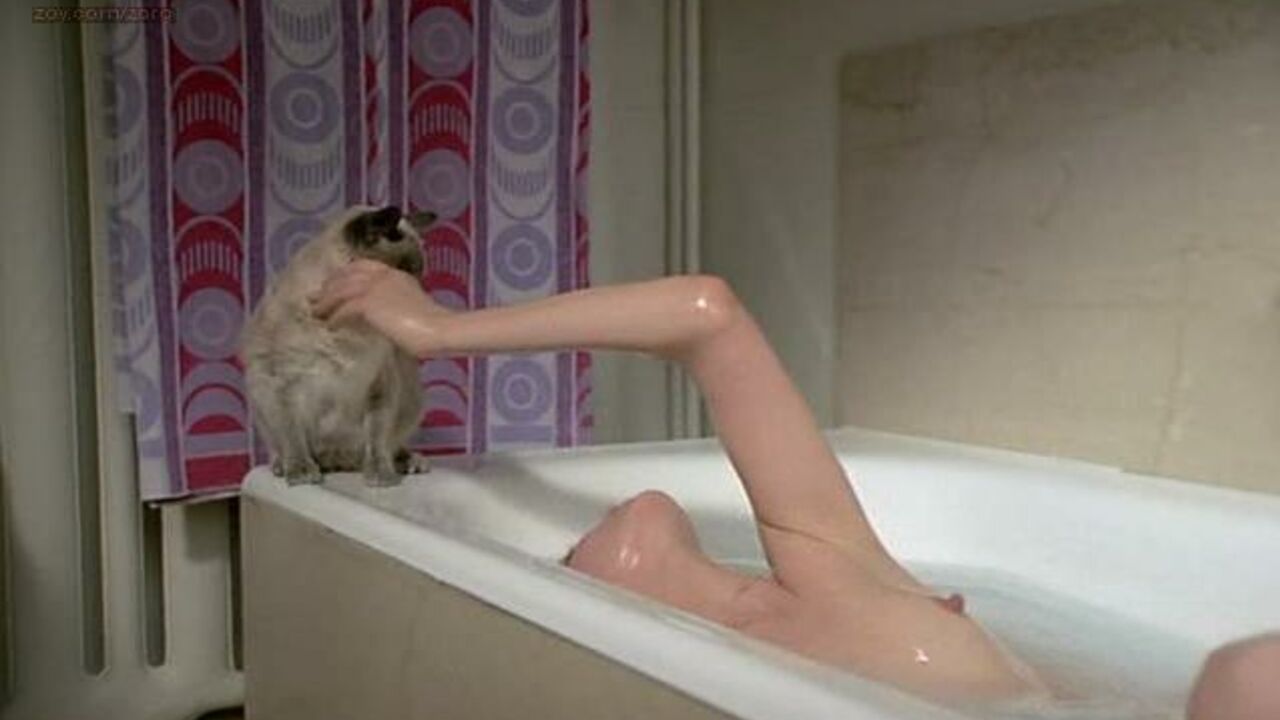 Nackte Promis » Jane Birkin nackt – Melancoly Baby (1979)