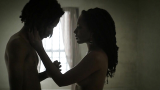 Natalie Paul nude -  sex scene from Crown Heights (2017)