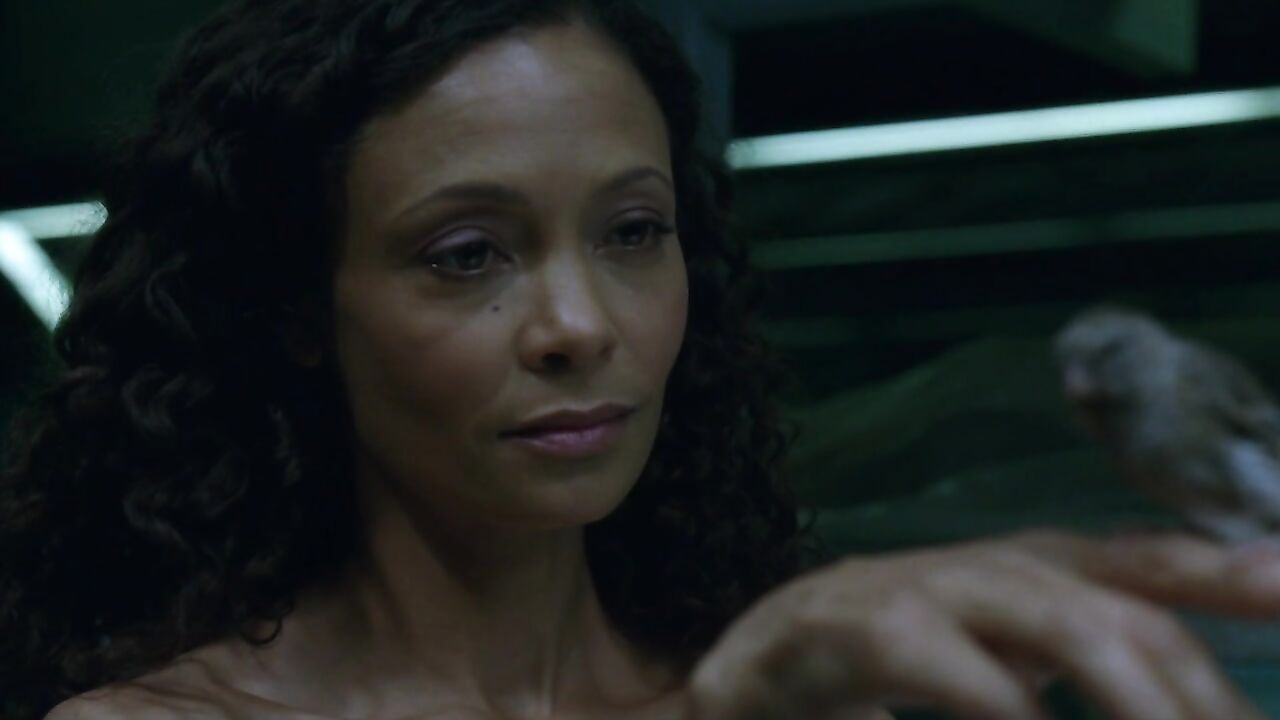 Thandie Newton nude scene in Westworld s01e05 (2016)