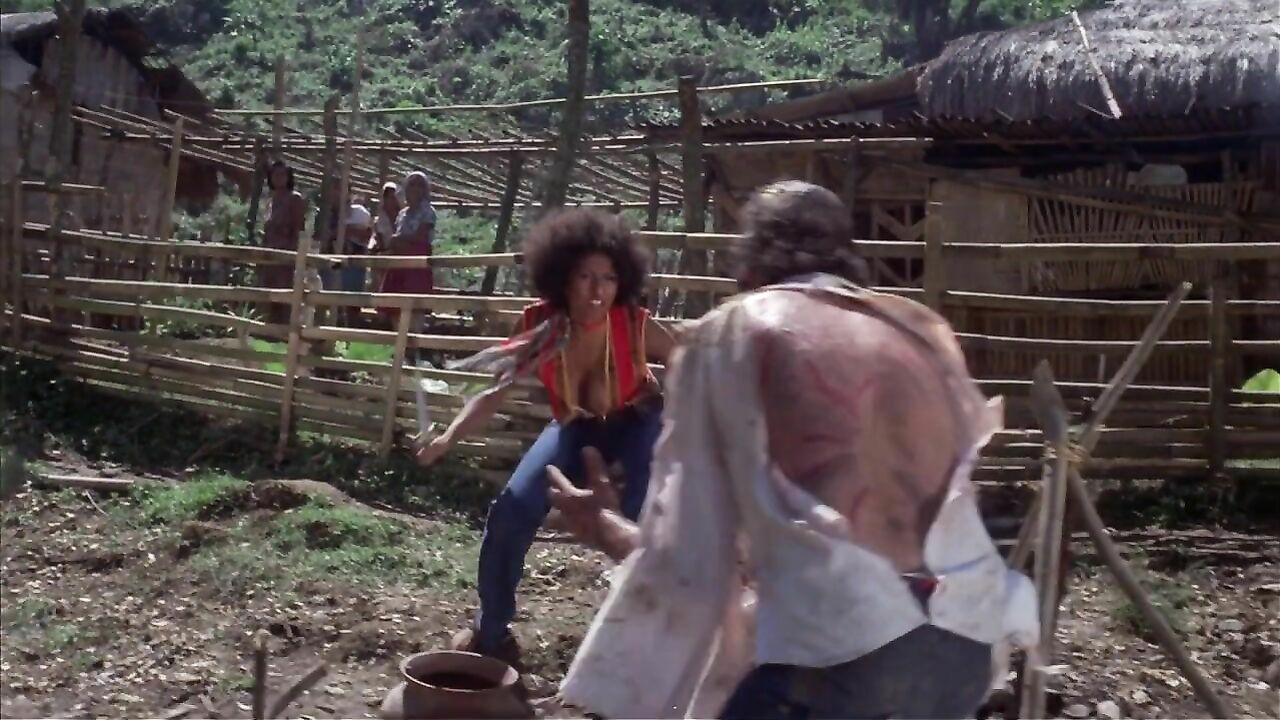 Pam Grier – Der große Vogelkäfig (1972)