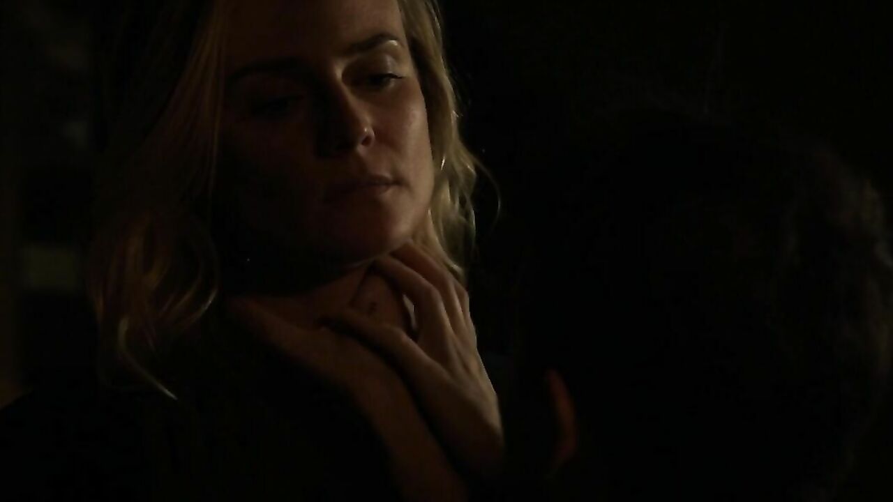 Diane Kruger - The Bridge s02e04 (2014)