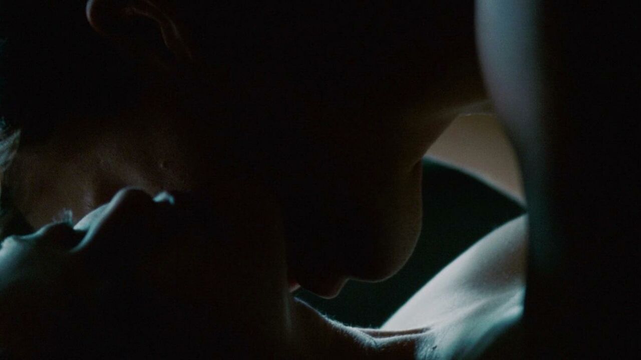 Amanda Seyfried nude, sex scene from Dear John (2010)