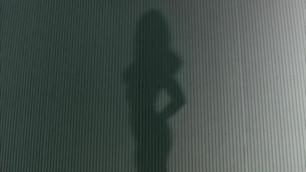 Natasha Alam erotische Szene aus Shadow Puppets (2007)