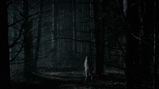 The Witch (2015) Joy sahnesinden Anya Taylor erotik sahnesi