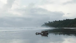 Adriana Ugarte nuda, scena di sesso da Palmeras en la nieve (2015)